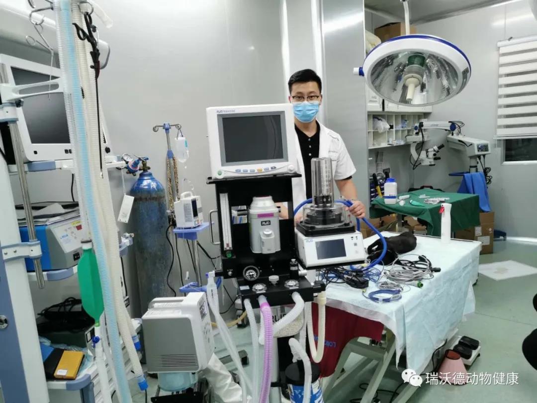 3-R419智能型動物呼吸機(jī).jpg