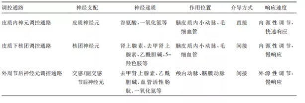 4-神經(jīng)血管耦連機制.jpg