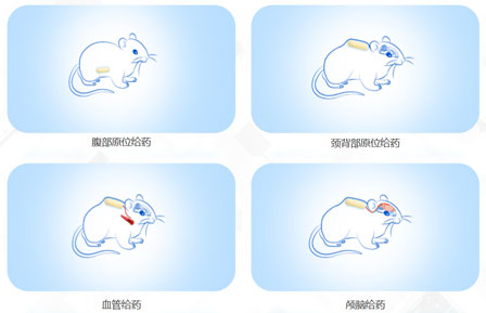 實驗干貨——解決你連續周期給藥困難的“小小泵”，上新啦！.jpg