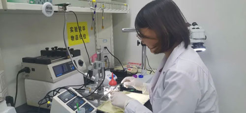 走進浙江大學楊鴻斌課題組：光纖記錄系統在神經環路研究中的應用