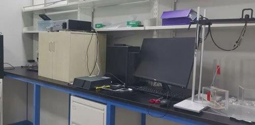 走進浙江大學楊鴻斌課題組：光纖記錄系統在神經環路研究中的應用