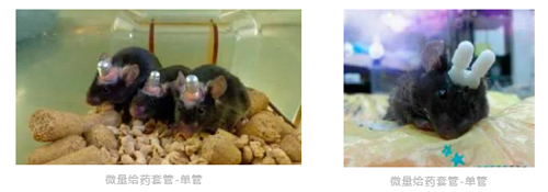 瑞沃德雙管微量給藥套管全新升級(jí)