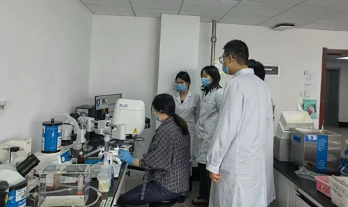 對話Blood通訊作者唐小芃教授，揭秘醫學頂刊背后的科學探索