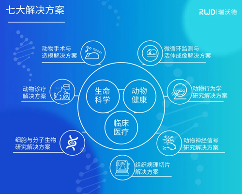 瑞沃德