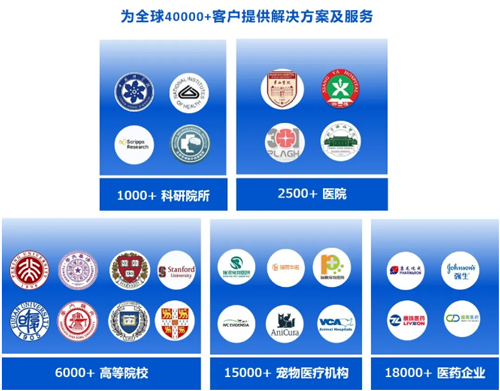 瑞沃德