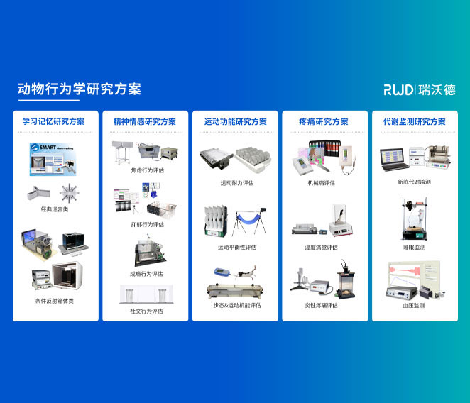 行為評估方案