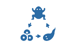 發育生物學