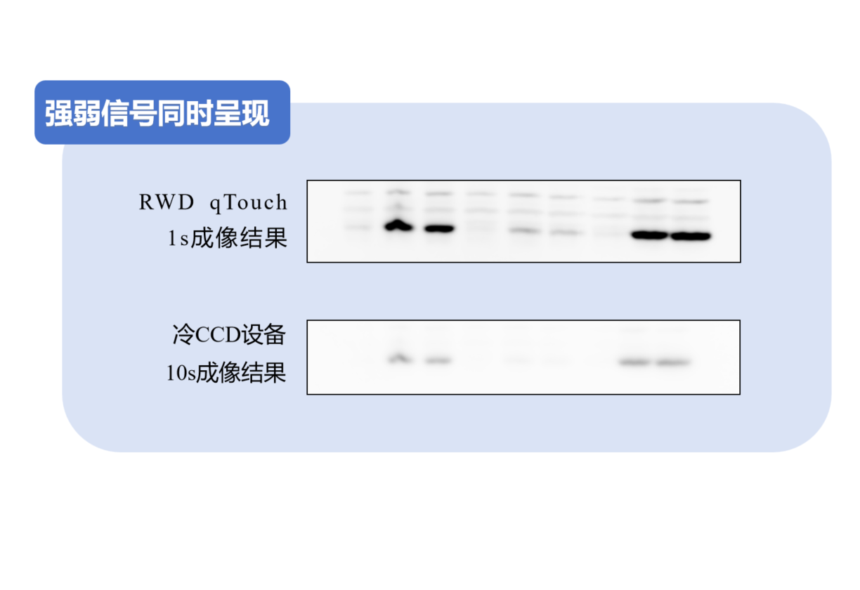 高準確性