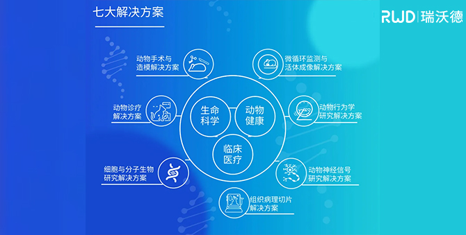 瑞沃德